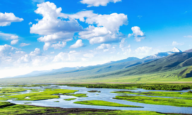 環(huán)境保護服務